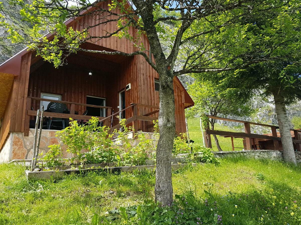 ホテル Detached House Milivoje Poscenje エクステリア 写真